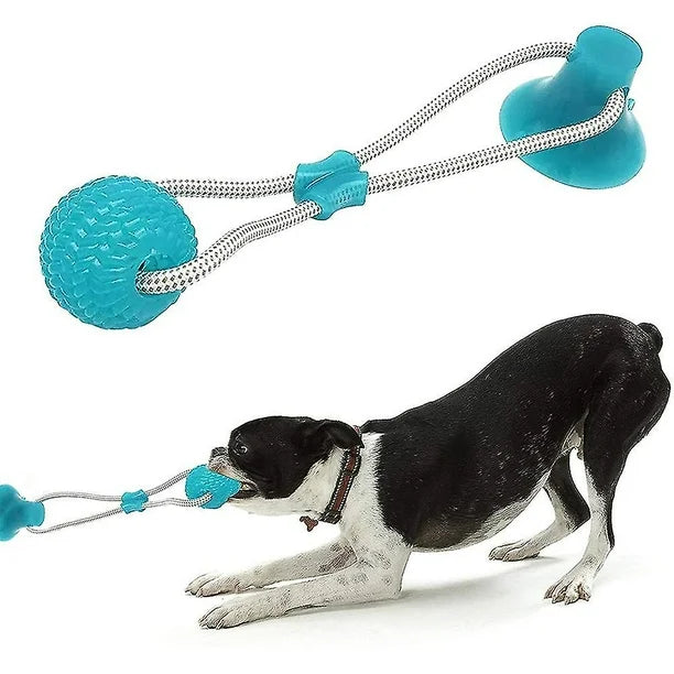 Juguete interactivo Pet Push Ball con ventosa para perro, de varios colores
