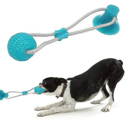 Juguete interactivo Pet Push Ball con ventosa para perro, de varios colores
