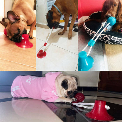 Juguete interactivo Pet Push Ball con ventosa para perro, de varios colores